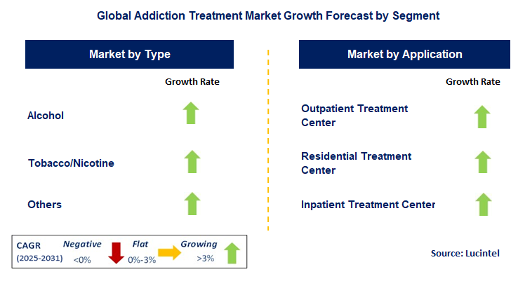 Addiction Treatment Market by Segment